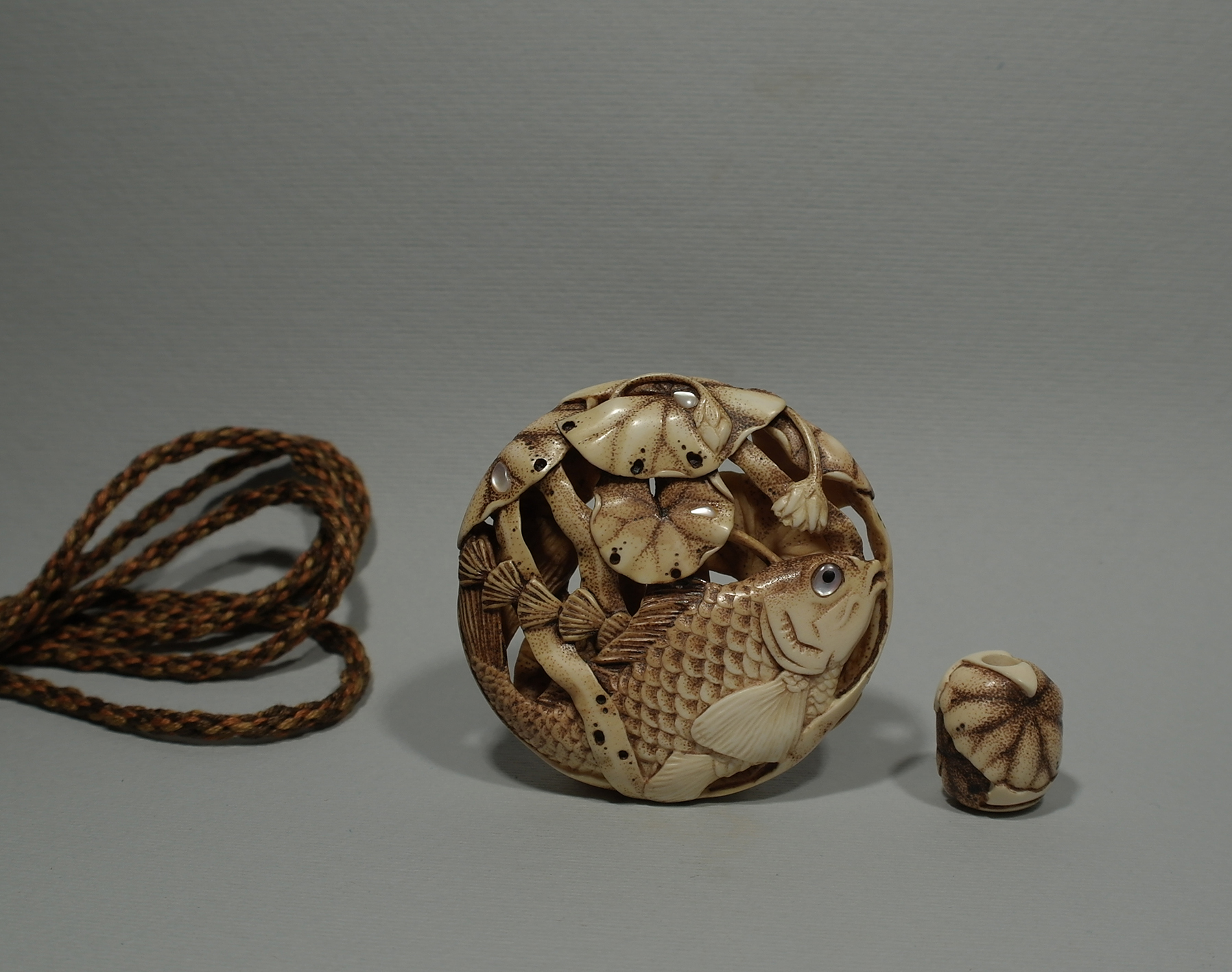 Carp under the lotus leaves 1